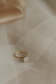 Amelia-Island-Wedding-Planner8483