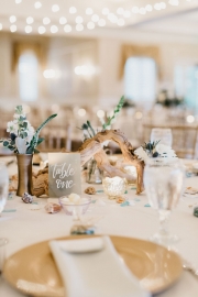 christinakarstphotography_staugustineweddingphotographer-628
