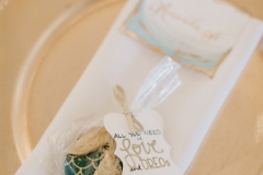 christinakarstphotography_staugustineweddingphotographer-190
