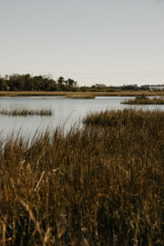 Wedding-Planner-in-St.-Augustine