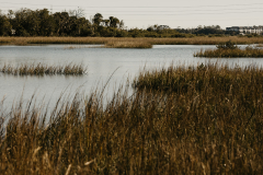 Wedding-Planner-in-St.-Augustine