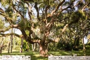 Ceremony at Ribault Club wedding